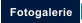 Fotogalerie
